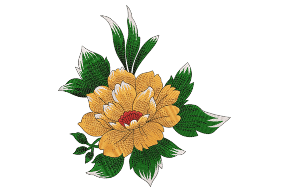 Bold Orange Peony: A Seller’s Review