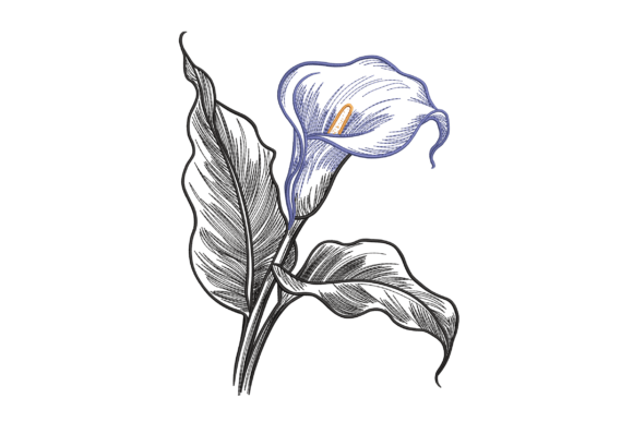 Reviewing Calla Lily Sketch for Real Projects