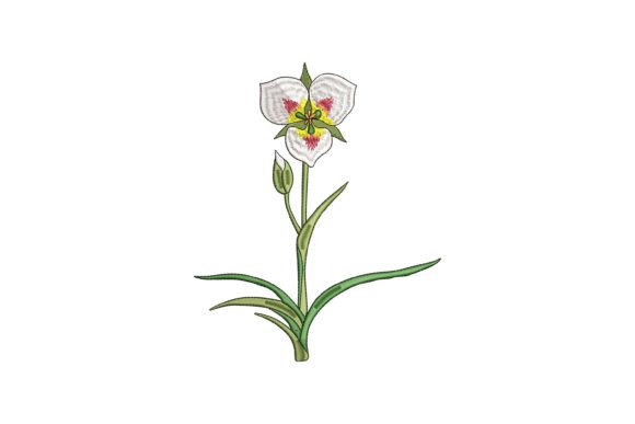 Sego Lily Bloom: A Designer’s Review