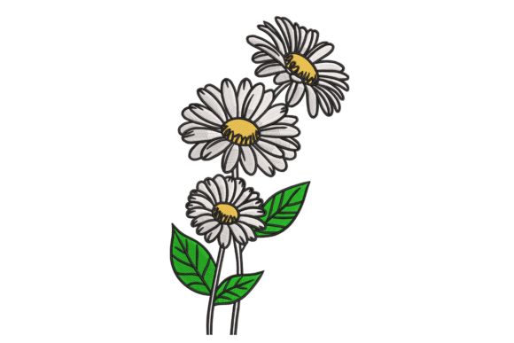 Sketch Daisy Trio: A Designer’s Review